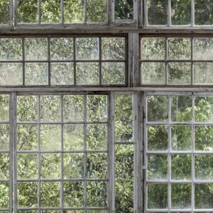 Fototapeten Greenhouse pryds av vackra fönster i verklig storlek. Med Greenhouse på väggen får du känslan av ett växthus eller orangeri hemma